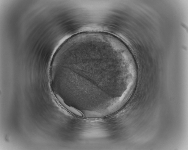 X0000095880864200802081053