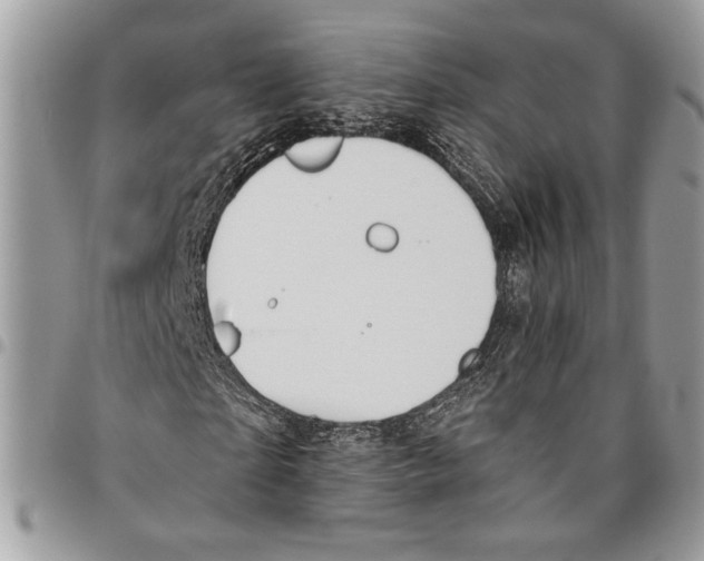 X0000095880865200802081052