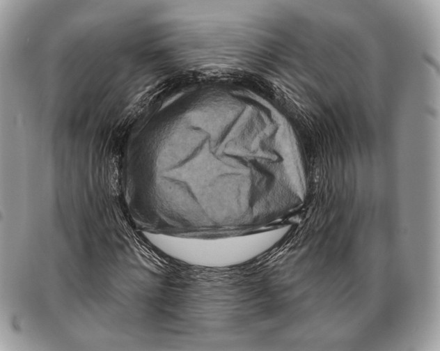 X0000095880868200802081052