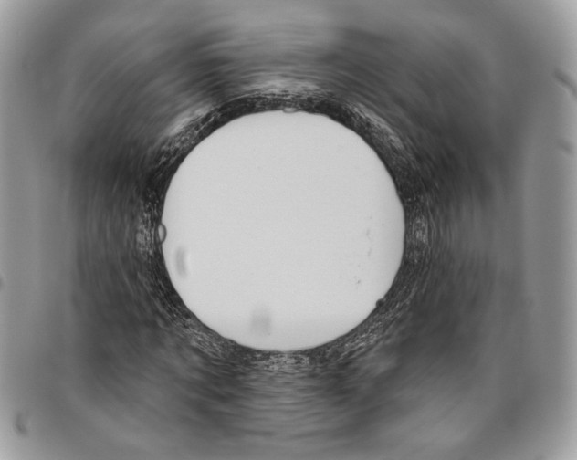 X0000095880869200802081052