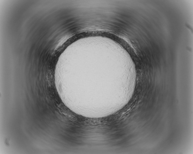 X0000095880871200802081052