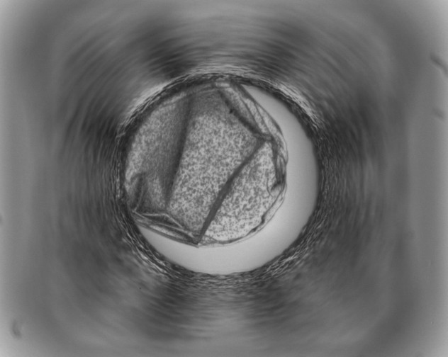 X0000095880872200802081052