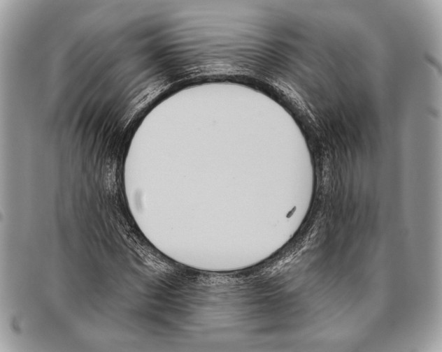 X0000095880873200802081052