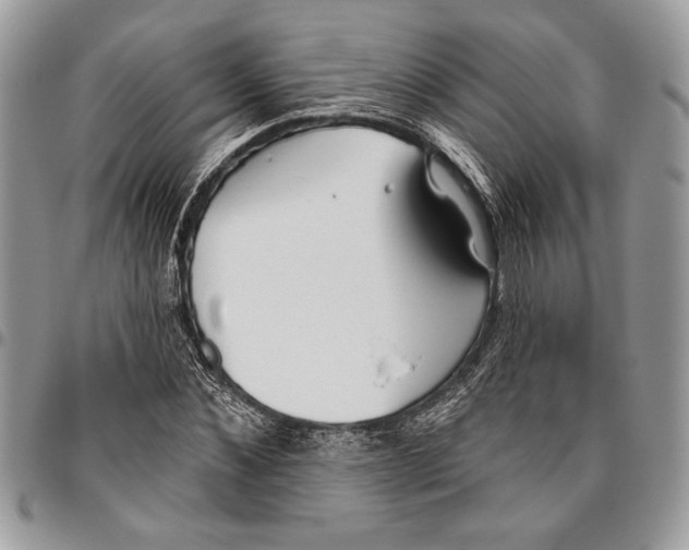 X0000095880876200802081052