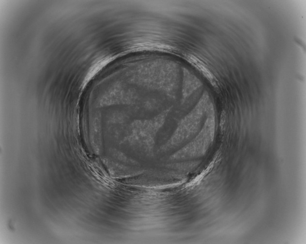 X0000095880877200802081052