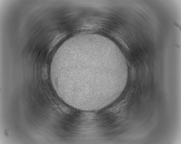 X0000095880878200802081052