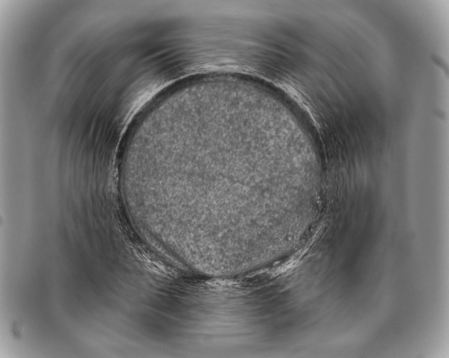 X0000095880879200802081052