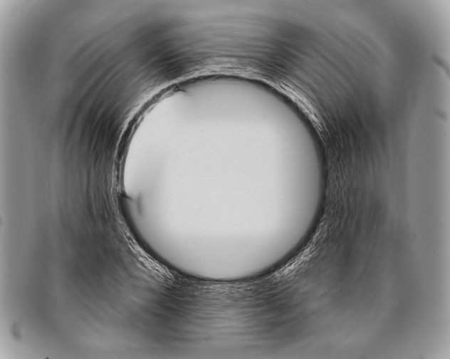 X0000095880880200802081052