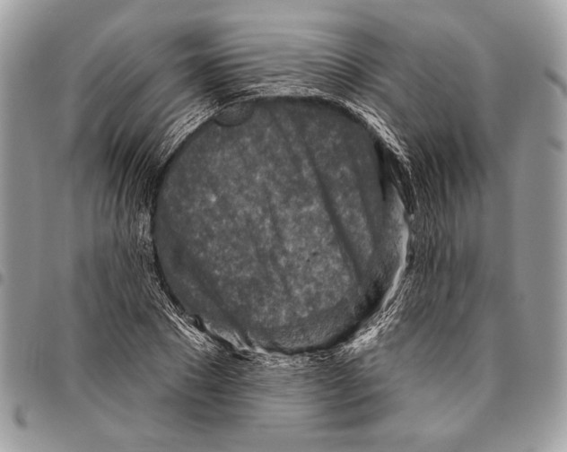 X0000095880881200802081052