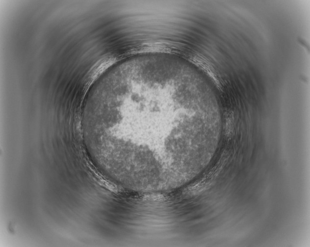 X0000095880882200802081052