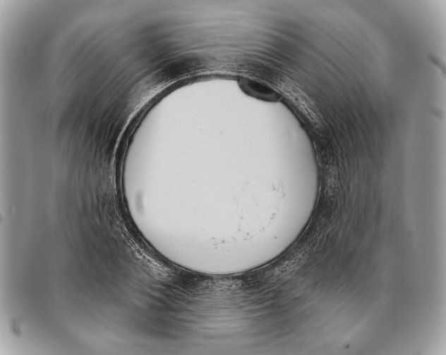 X0000095880884200802081052