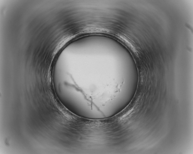 X0000095880885200802081052