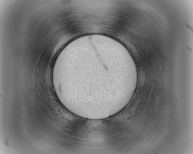 X0000095880886200802081052