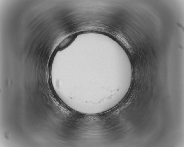 X0000095880888200802081052