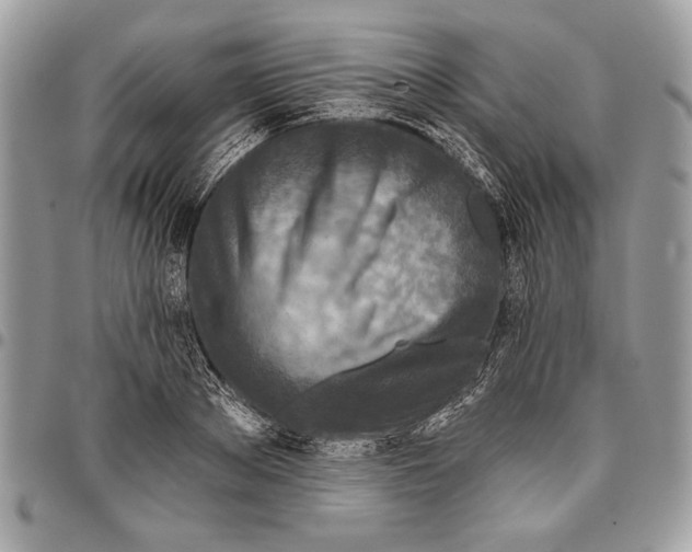 X0000095880889200802081052