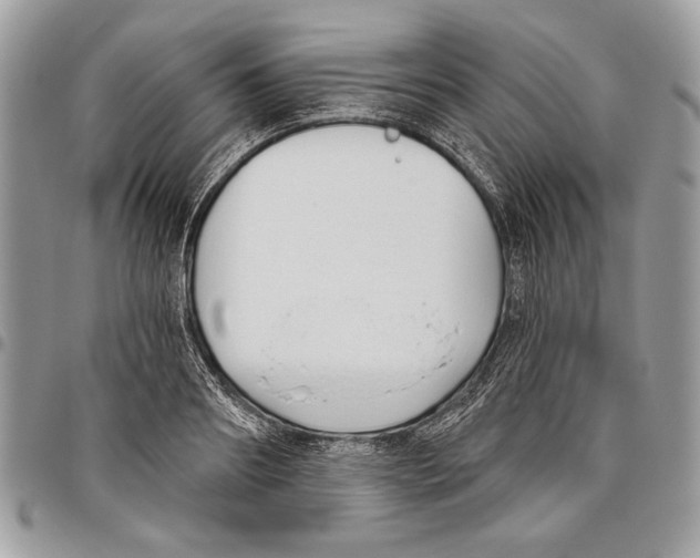 X0000095880890200802081052