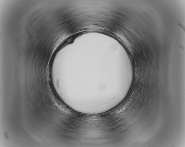 X0000095880891200802081052