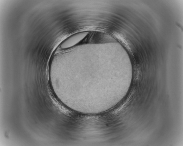 X0000095880892200802081052