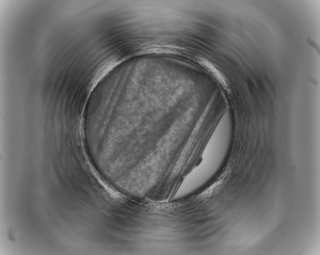 X0000095880893200802081052