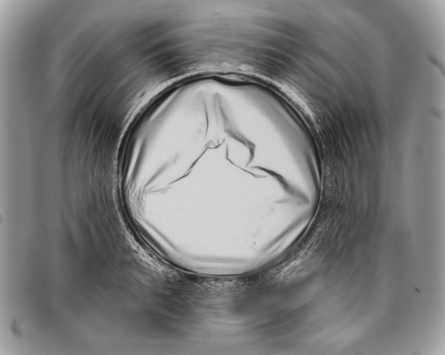 X0000095880895200802081052