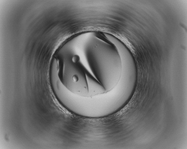 X0000095880896200802081052