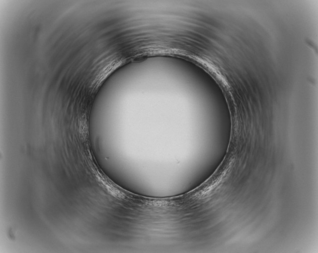 X0000095880897200802081052