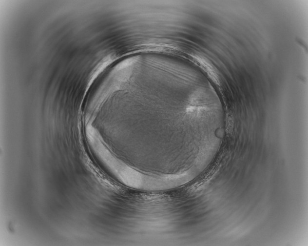 X0000095880899200802081052