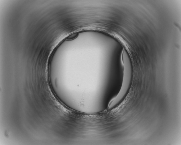 X0000095880902200802081052