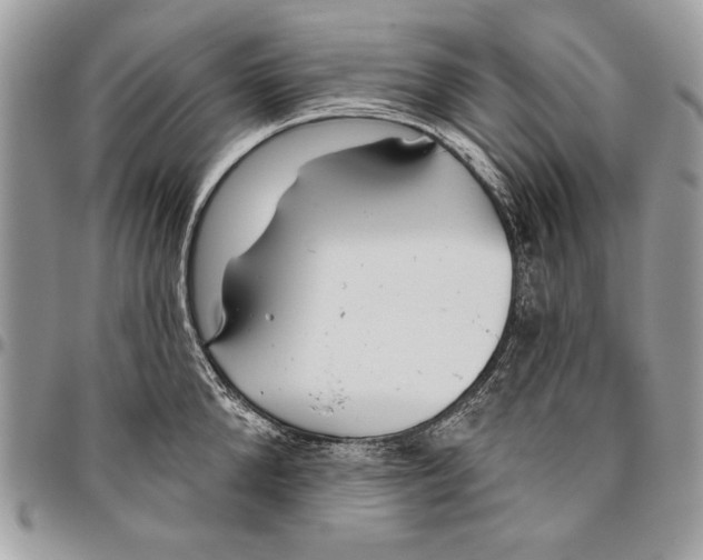 X0000095880904200802081052