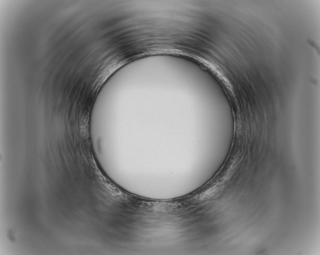 X0000095880905200802081052