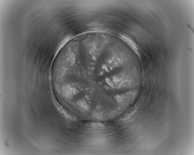 X0000095880907200802081052