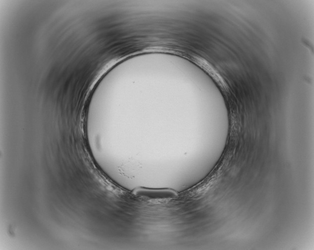 X0000095880908200802081052