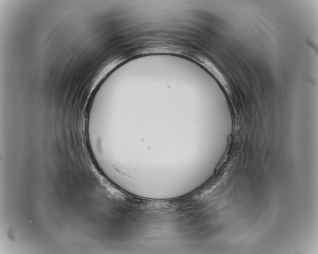 X0000095880909200802081052