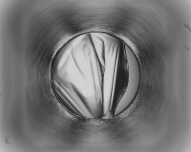 X0000095880910200802081052