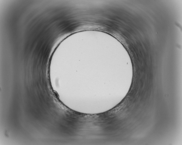 X0000095880912200802081051