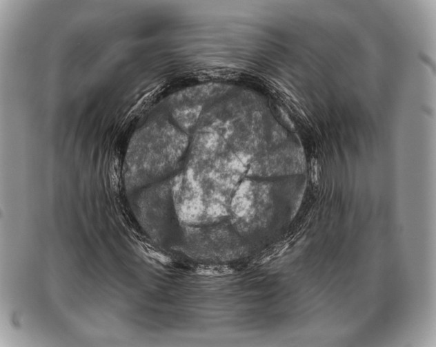 X0000095880915200802081051