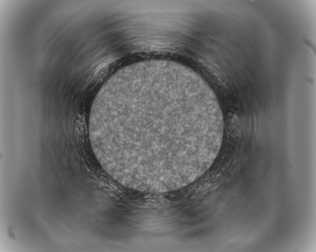 X0000095880918200802081051