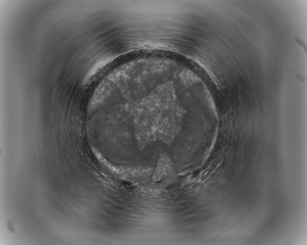 X0000095880919200802081051