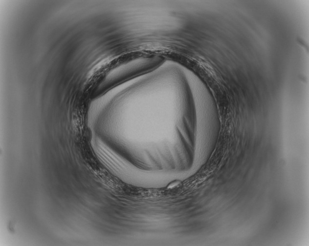 X0000095880920200802081051