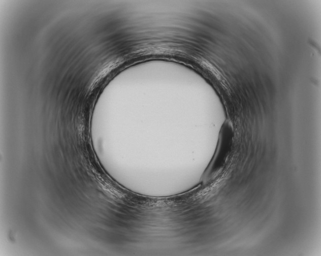 X0000095880922200802081051