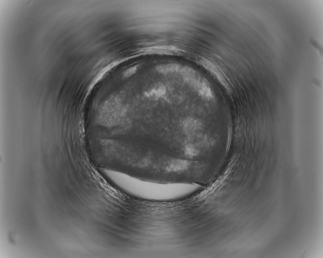 X0000095880923200802081051