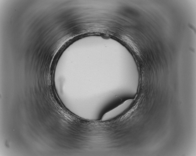 X0000095880924200802081051