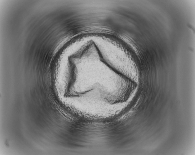 X0000095880925200802081051