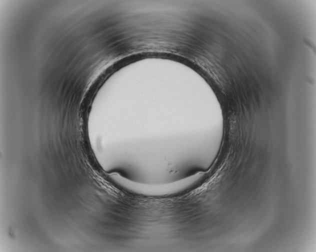 X0000095880926200802081051