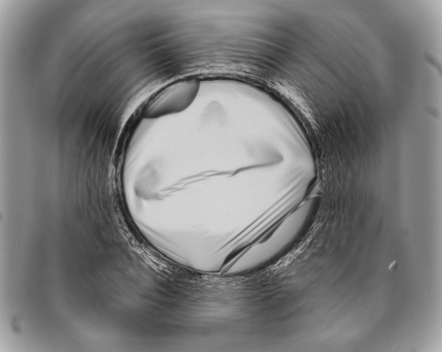 X0000095880928200802081051