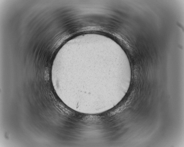 X0000095880929200802081051