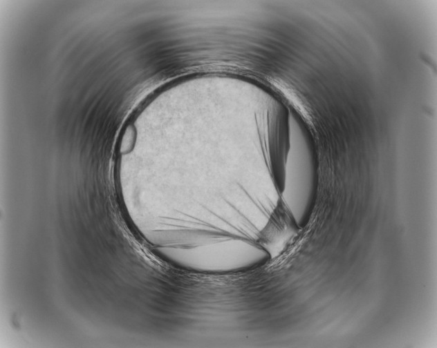 X0000095880932200802081051