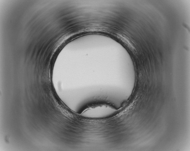 X0000095880934200802081051