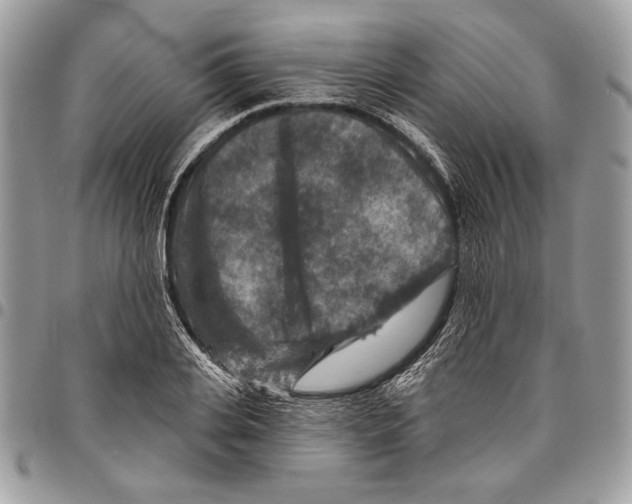 X0000095880935200802081051