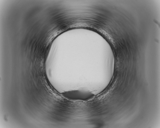 X0000095880937200802081051